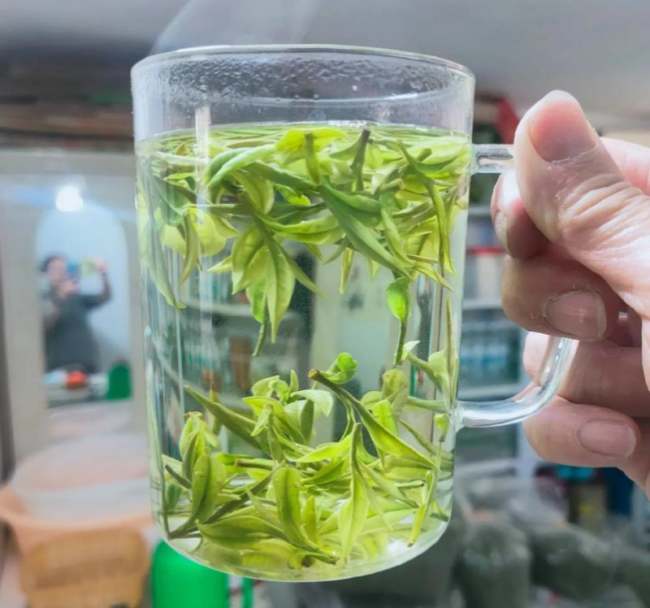蚌埠市怀远县安吉白茶专卖店，怀远县安吉白茶【地址、联系方式】