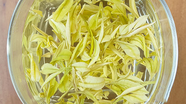 安吉奶白茶皇金芽属于什么茶,皇金芽价格多少钱一斤