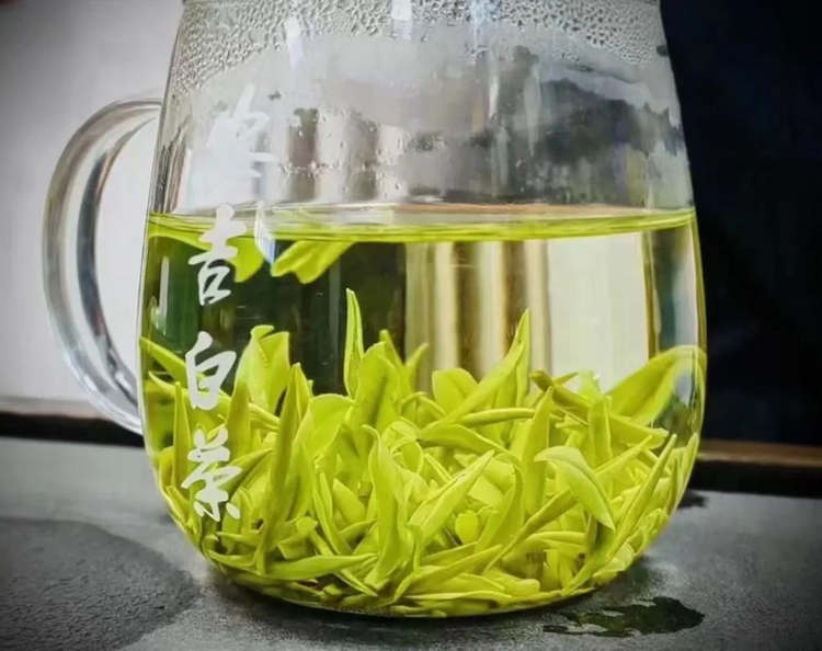 安吉白茶