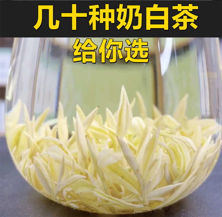 安吉皇金芽的特点有哪些