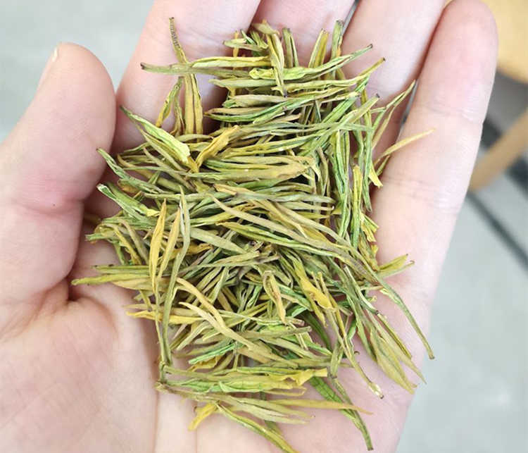 安吉白茶怎么区别等级