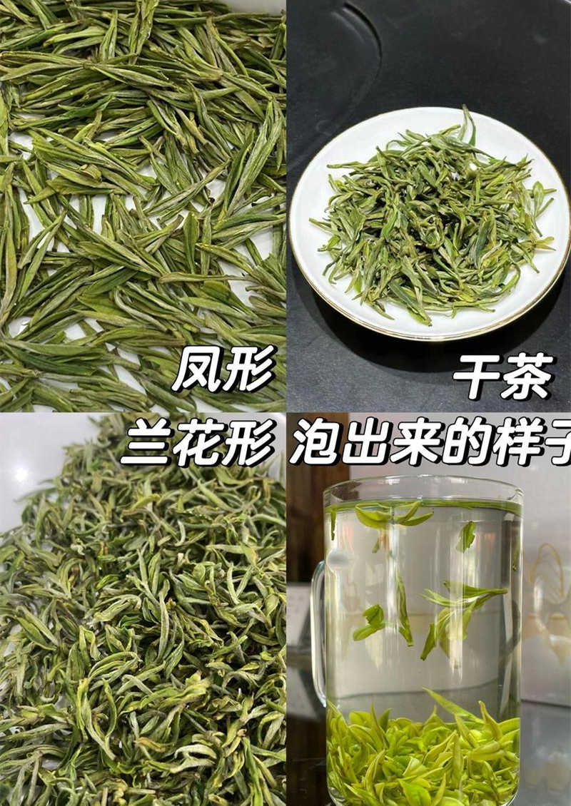 正宗安吉白茶的特点有哪些