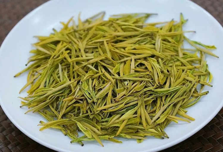 安吉皇金芽什么时候采摘上市