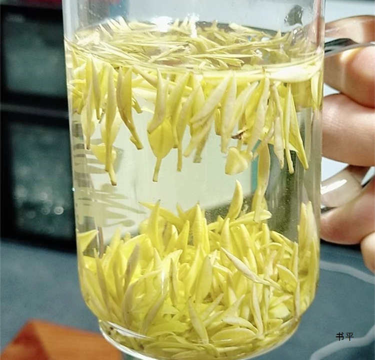 安吉奶白茶适合什么人喝，安吉皇金芽喝茶禁忌