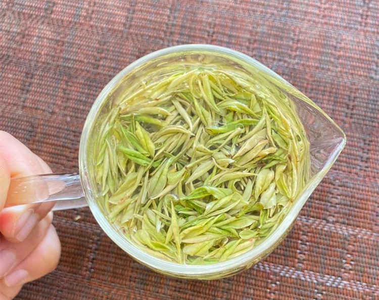 安吉奶白茶简介和特点有哪些